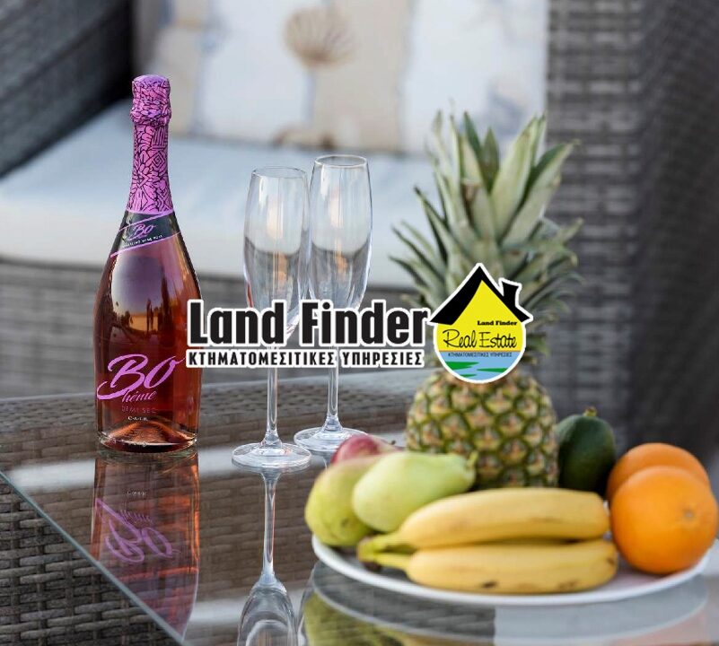 2025_land-37_thb
