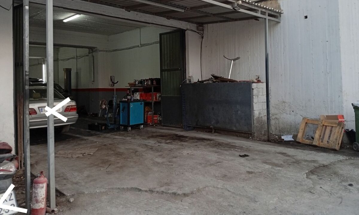 2120_viber_image_2026-01-12_11-02-03-658_thb